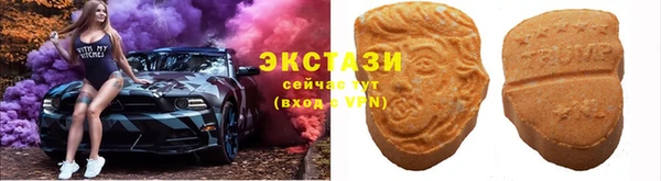 ECSTASY Кукмор