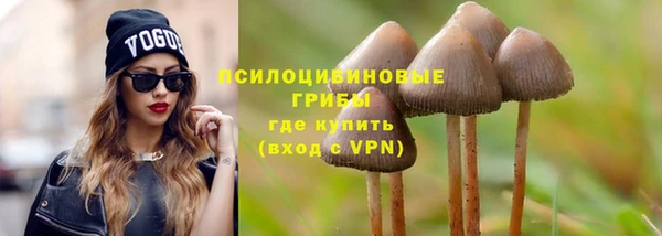 дмт Кулебаки