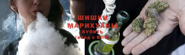 ECSTASY Кукмор