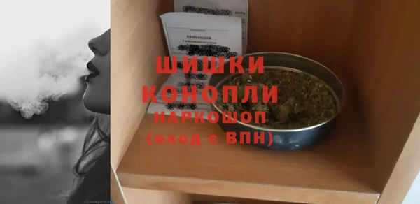 ECSTASY Кукмор
