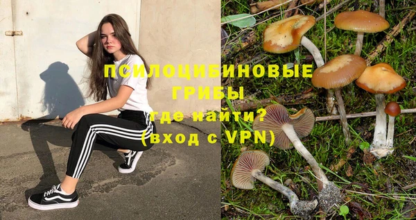 ECSTASY Кукмор