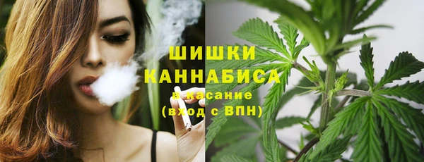 дмт Кулебаки