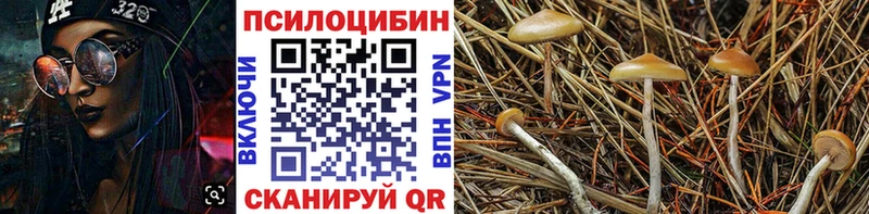Галлюциногенные грибы прущие грибы  Мариинск 