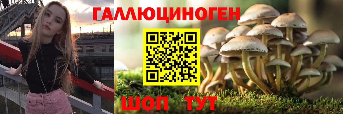 Мариинск  купить   Вход с VPN  Псилоцибиновые грибы Psilocybine cubensis 